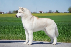 Maiki 4 lata 2 maj 2026